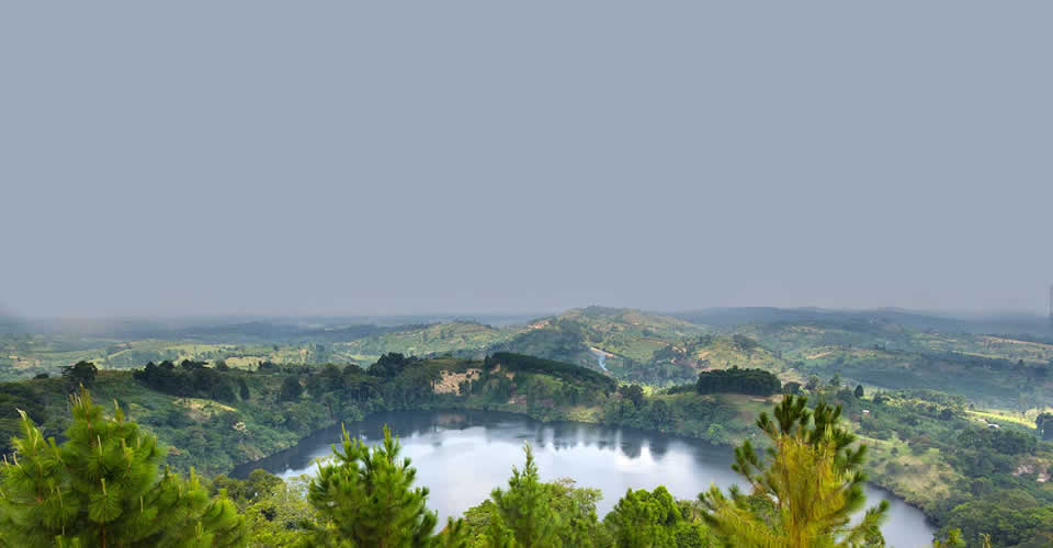wqrwerwe