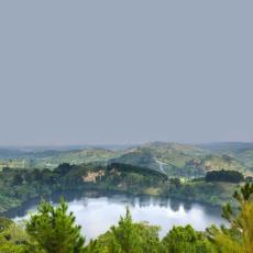 wqrwerwe
